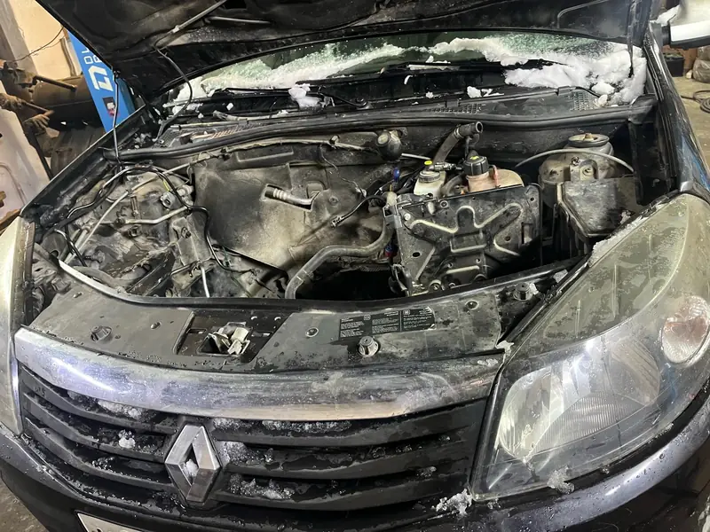 Renault Sandero: замена двигателя, фото 1 из 2