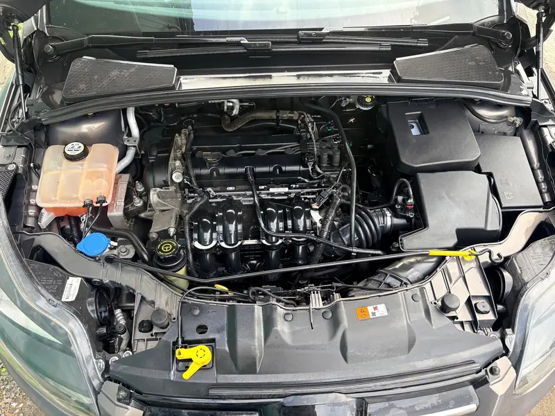 Ford Focus 3: мойка подкапотного пространства, фото 1 из 2