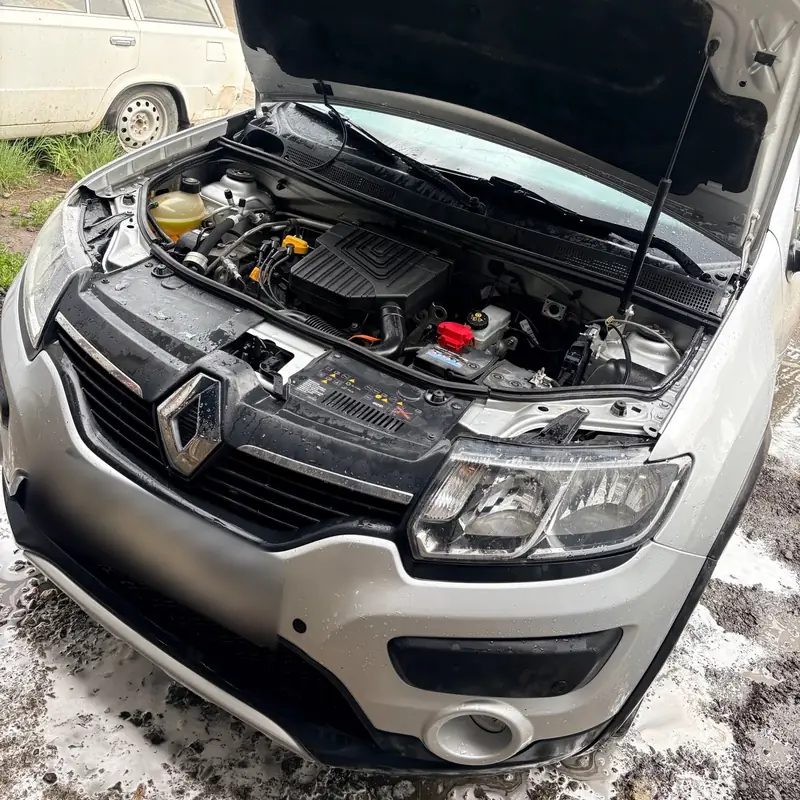 Renault Sandero: сцепление, тормоза и большое ТО, фото 1 из 2